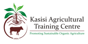 kasisi-logo-final-landscape